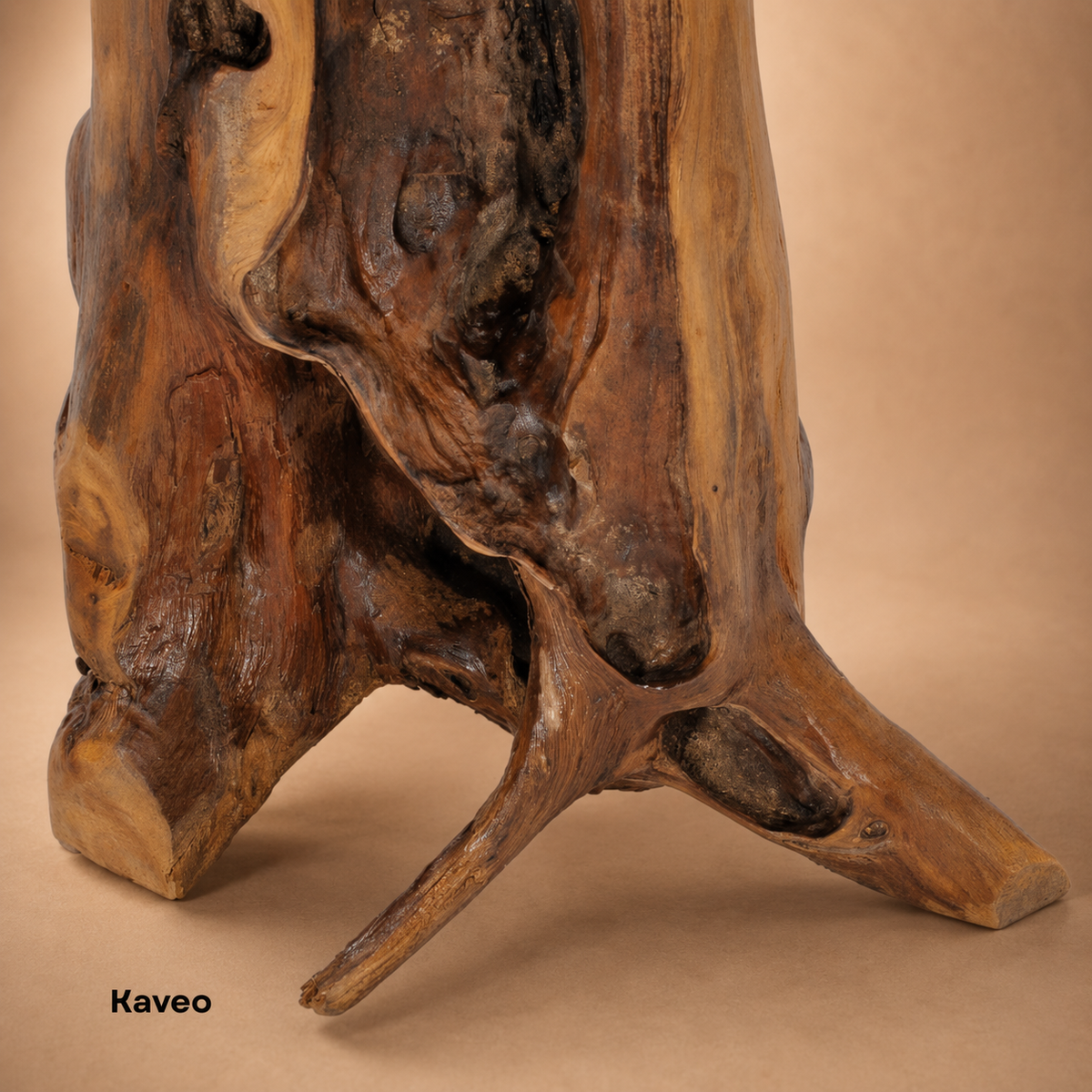Racine | Table d’appoint bois de teck